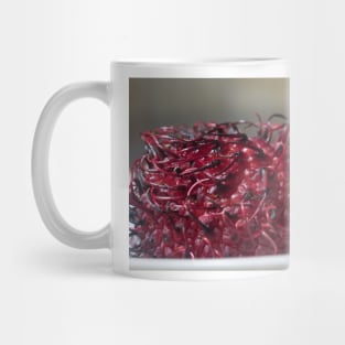 Rambutan Still life Mug